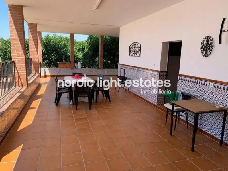 Spacious country house with a plot of 9.200 sqm and 160 avocato trees 