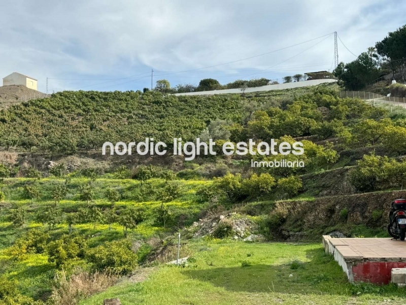 Apero reformado con 100 aguacates y 4.850m2 de terreno en Frigiliana