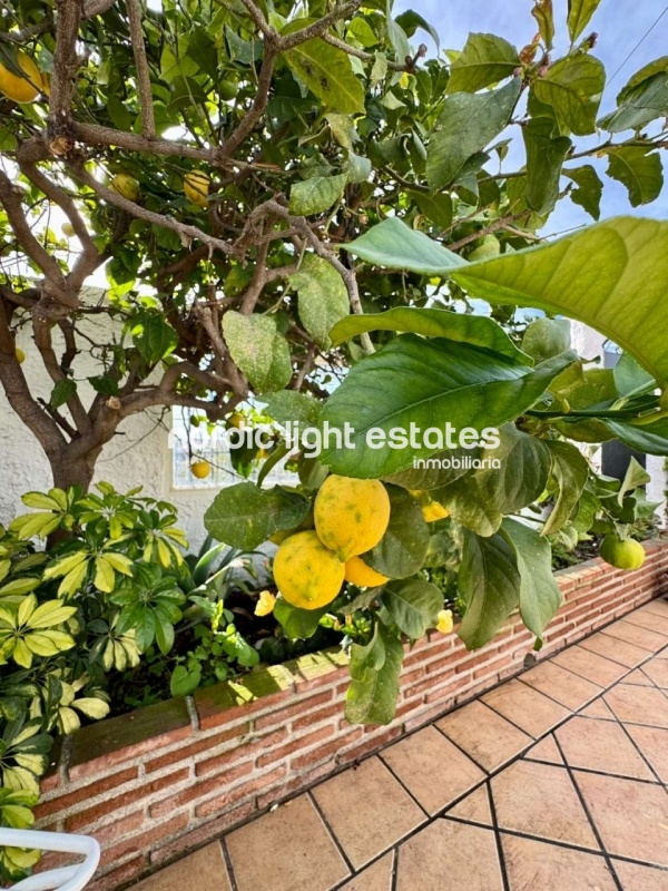 Beautiful refurbished townhouse with fantastic terrace in Capistrano Village, Nerja