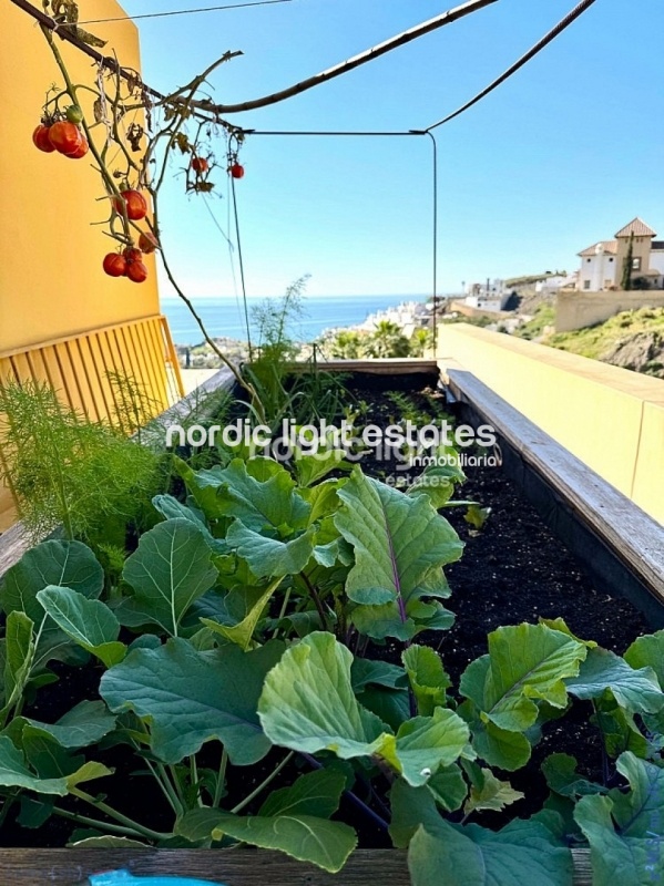 Elegante villa independiente en El Peñoncillo, Torrox Costa